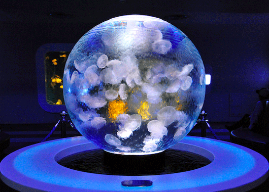 球幕投影在舞臺(tái)表演、ktv場(chǎng)所的應(yīng)用場(chǎng)景