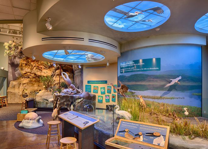 科普展廳多媒體-好奇數(shù)字科技