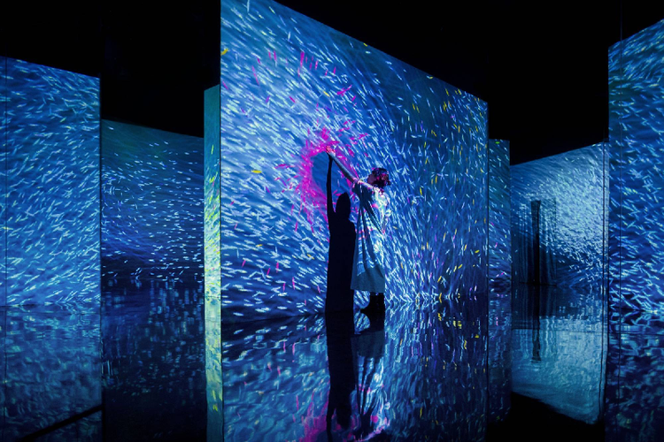 沉浸式互動(dòng)投影多少錢-蘇州好奇數(shù)字科技有限公司